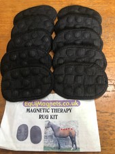 Equimagnets Rug Magnet Set.   Replacements.