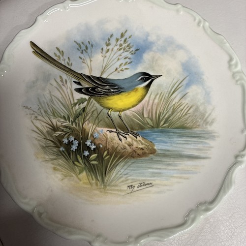 The woodlands bird collection - bird,