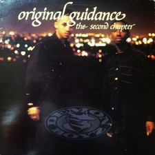 Demon Boyz - Original Guidance  The Second Chapter - Used Vinyl Recor - V1034z