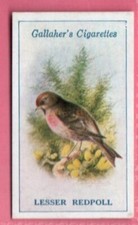 Gallaher Cigarette Card
