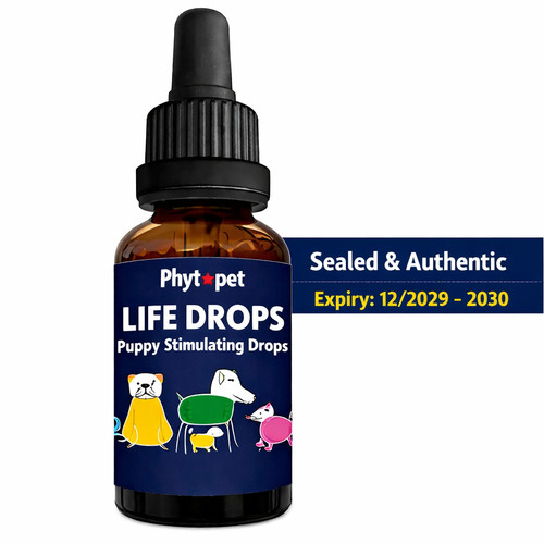 Phytopet puppy stimulating - phytopet,