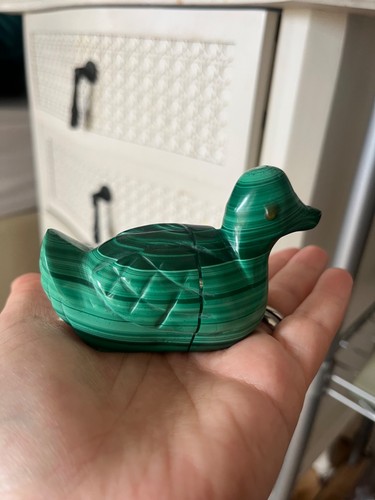 Malachite duck