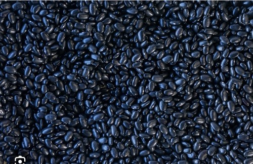 Akidi black pigeon - black,