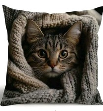 1 X Printed Cute Tabby Kitten Cat Cushion Covers Scatter Decorative cushions