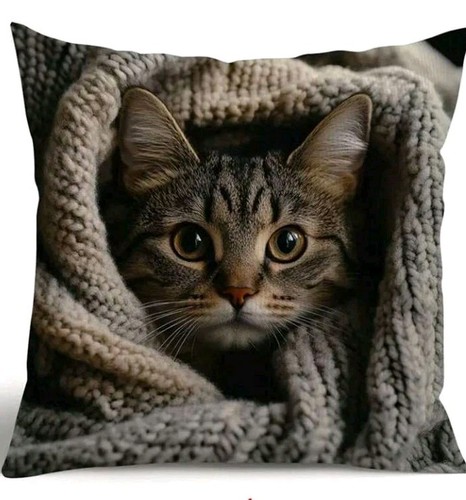 Printed cute tabby kitten - x,