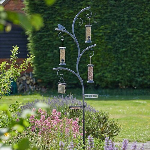 Wild wings bird feeding - wild,