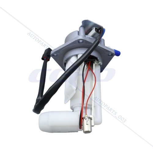 Fuel pump module - fuel,