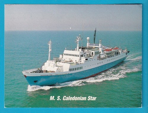Original postcard ferry s - , m.s