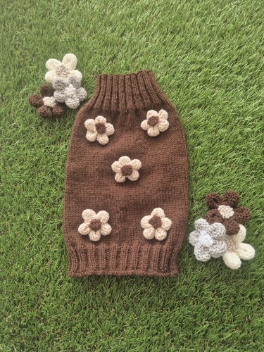 Cute hand knitted dog jumper - cute,