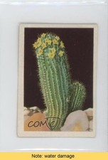 1936 Westminster South Africa