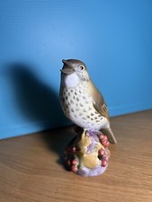 Royal Worcester Thrush 3234