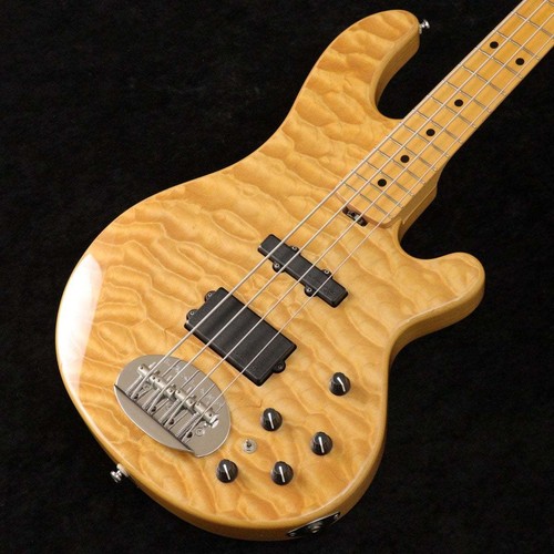 Lakland shoreline series - lakland,