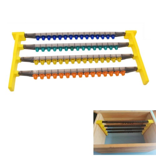 Queen rearing system - queen,