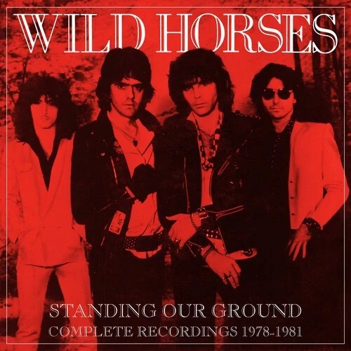 Wild horses standing - horses,