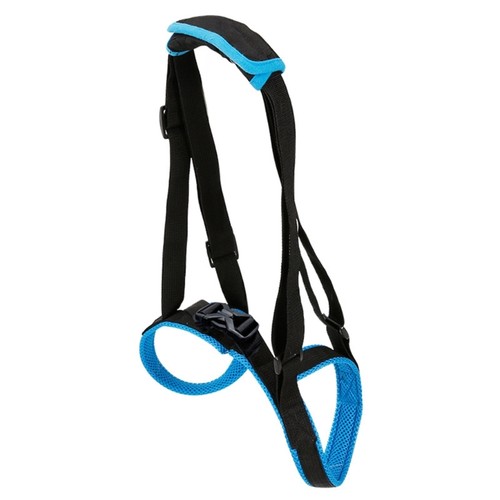 Regulable padded rear - regulable,