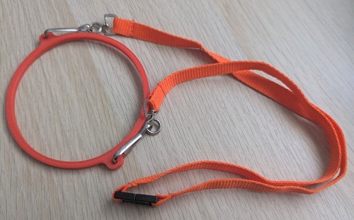 Festival cup holder lanyard - festival,