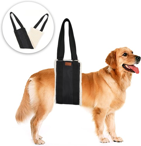 Adjustable dog lifting - dog,
