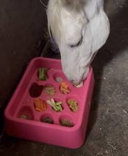 GRAD-DUAL Horse Slow Feeder