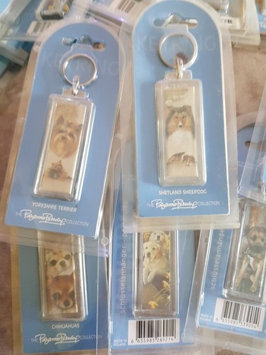 Pollyanna pickering keyrings - keyrings, x