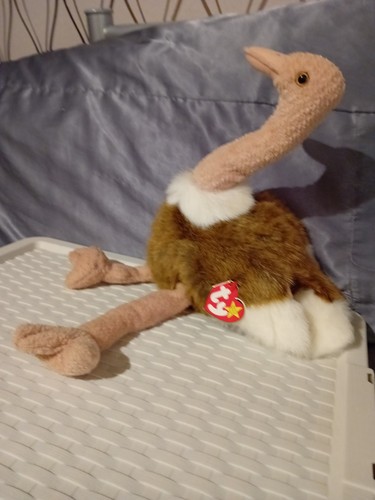 Beanie buddy stretch the - ty,