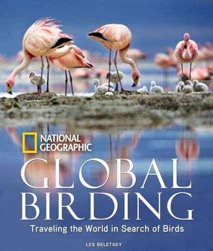 Global birding traveling - global, the