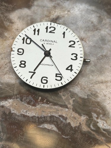 Vintage men cardinal - men’s,