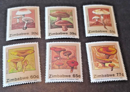 Zimbabwe 1992 edible mushrooms - zimbabwe,