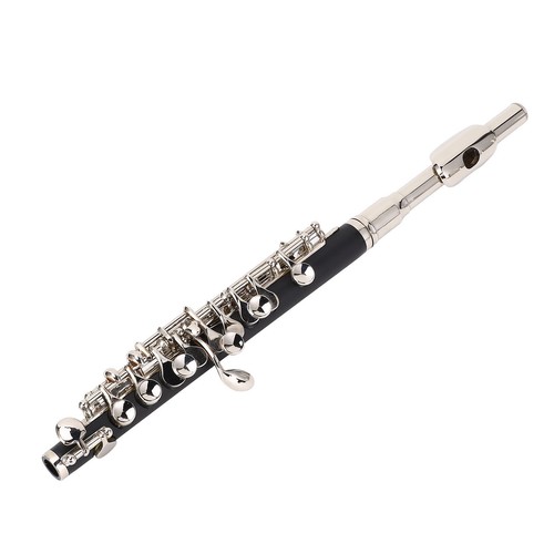 Piccolo flute instrument - instrument, key