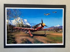 MILITARY AVIATION PRINT : '  MOUNTAIN WOLF '