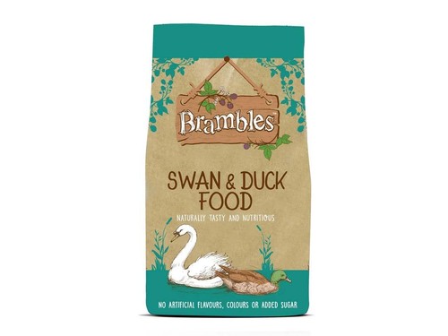 Swan duck food floating - duck,