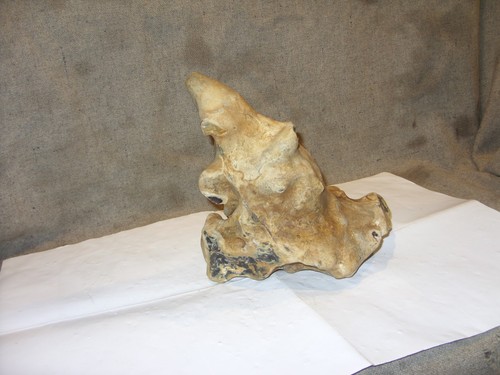 Flint stone - flint,