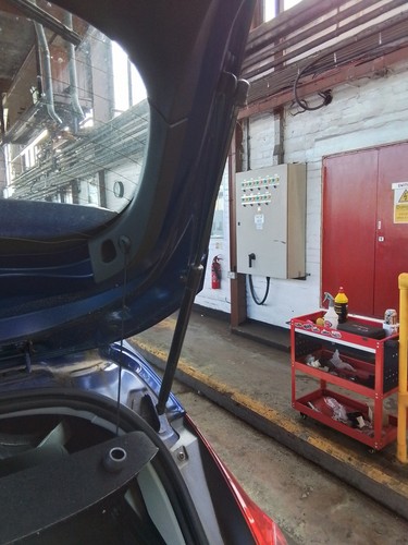 Boot tailgate support strut - or,