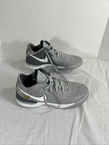 Nike lebron nxxt - gen, grey