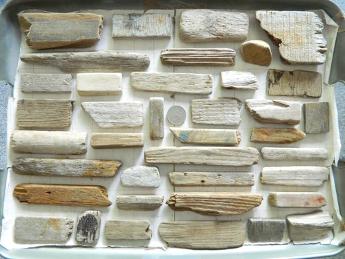 Driftwood pieces flat one - pieces,