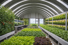 42x40x17 Off Grid DuroSPAN