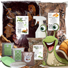 Woodland Giant African Land Snail Set-Up Pack  10 items including Leaf Litter