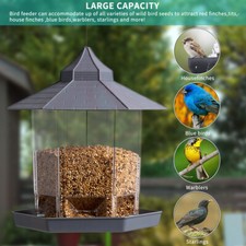 Hanging Wild Bird Feeder