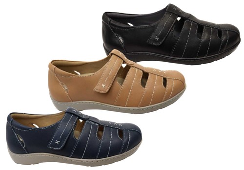 Womens scholl orthaheel wendy - womens,