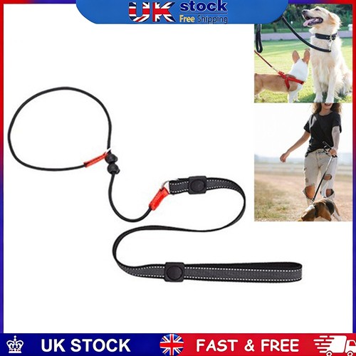 Strong nylon rope dog - nylon, choke