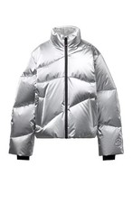 Zara metallic 80% down and 20%