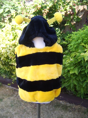 Halloween bumble bee dressing - halloween,