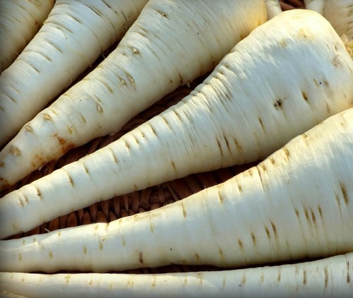 Parsnip seeds tender and - parsnip,