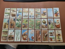 Wills's Cigarette Cards 50 Pack Garden Hints