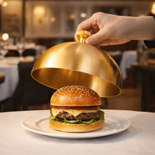 with Handle Dome Burger Cover