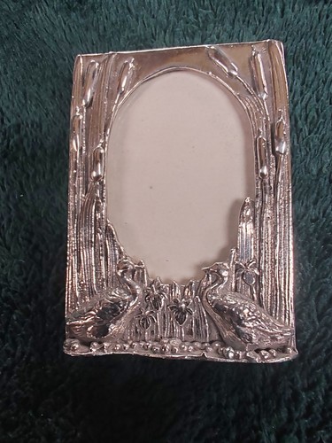 Silver scenes duck design - silver,