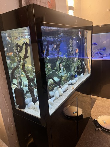 Aquarium fish tank - aquarium, complete
