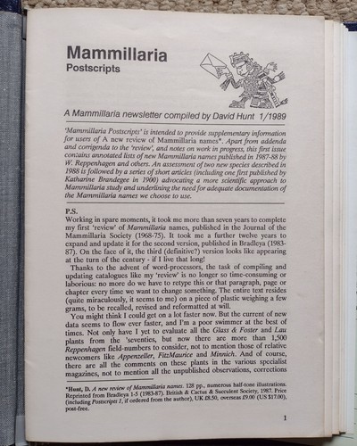 Mammillaria postscripts hunt - mammillaria,