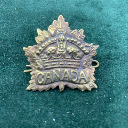 Canadian forces collar badge - forces,