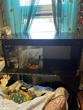 Wooden reptile vivarium - wooden,