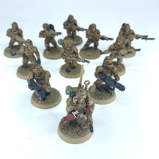 Imperial Guard Troopers -